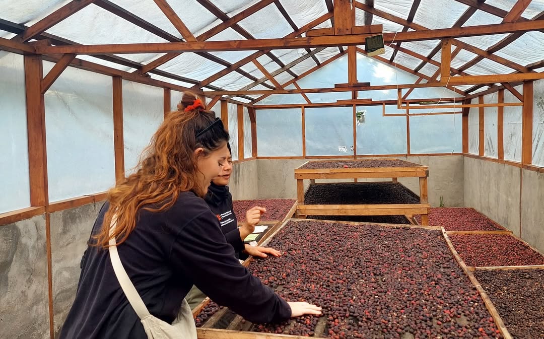 greenlot_coffee_1738317313_3557585925096146069