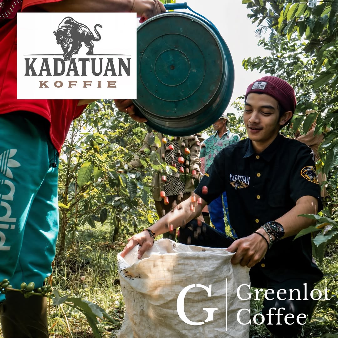 greenlot_coffee_1748632031_3644112049493997100