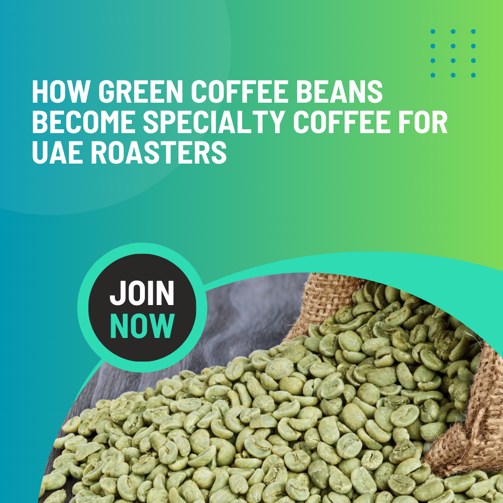 How Green Coffee Beans Become Specialty Coffee for UAE Roasters