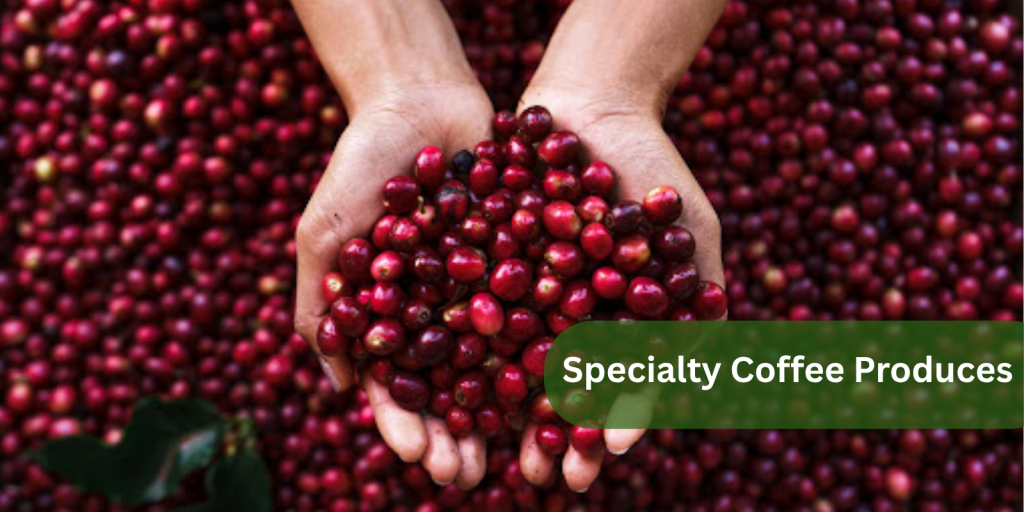 Specialty Coffee Produces