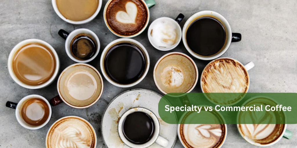 Specialty vs Commercial Coffee