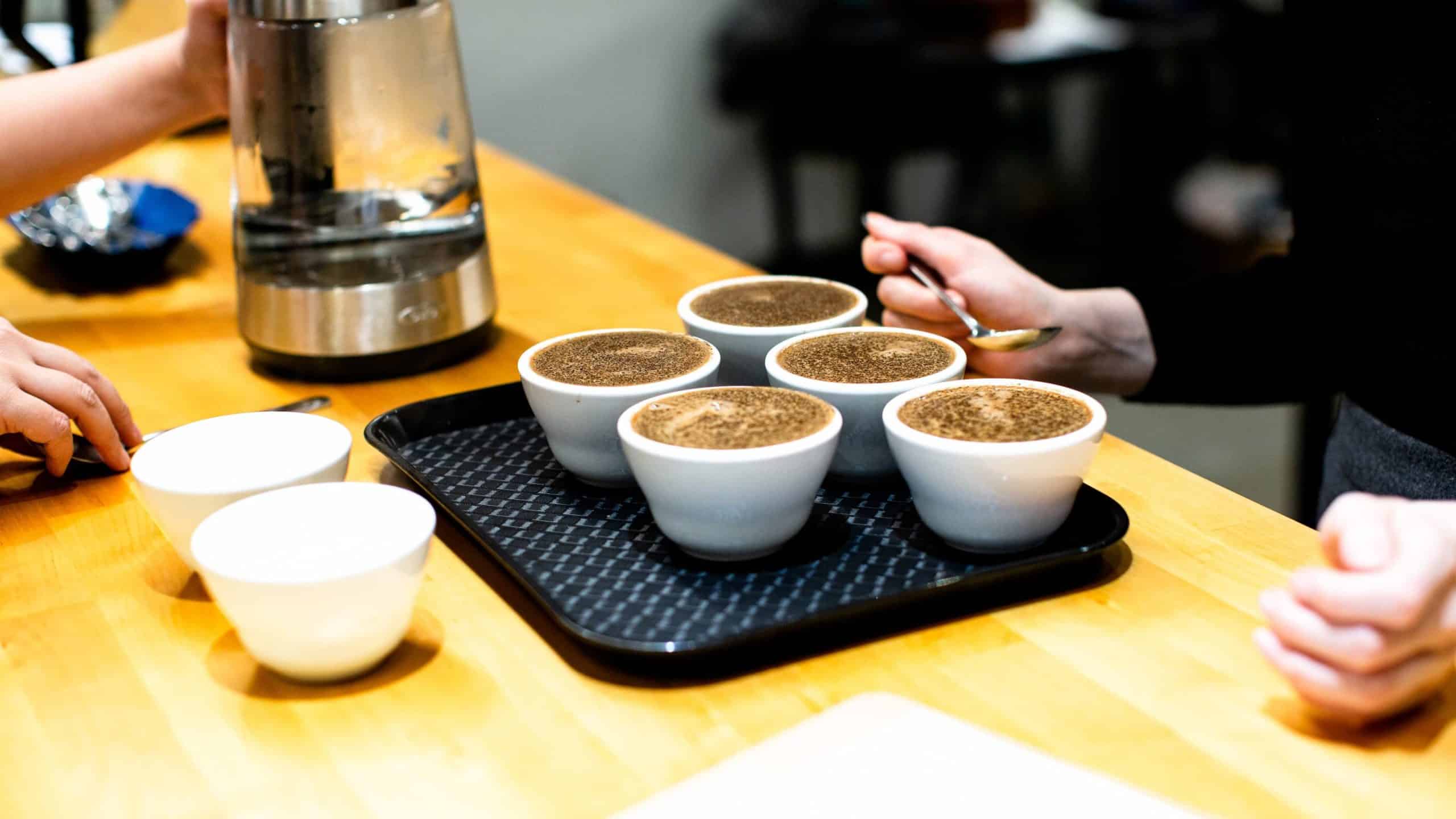 sca sensory class 2 Cropped 2 scaled