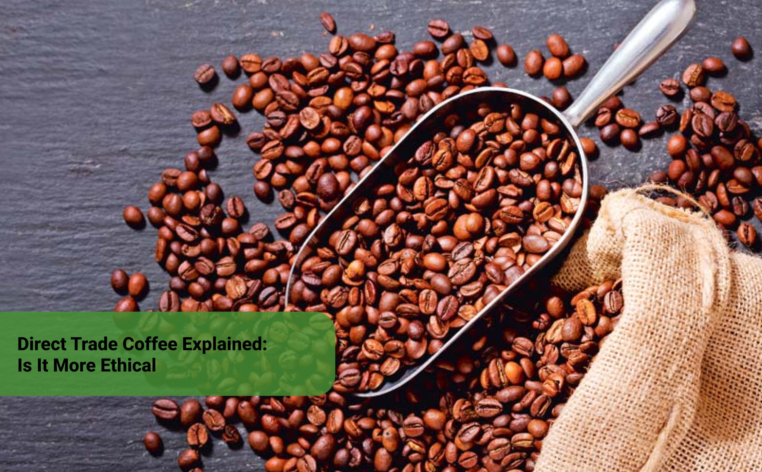 Direct Trade Coffee Explained Is It More Ethical
