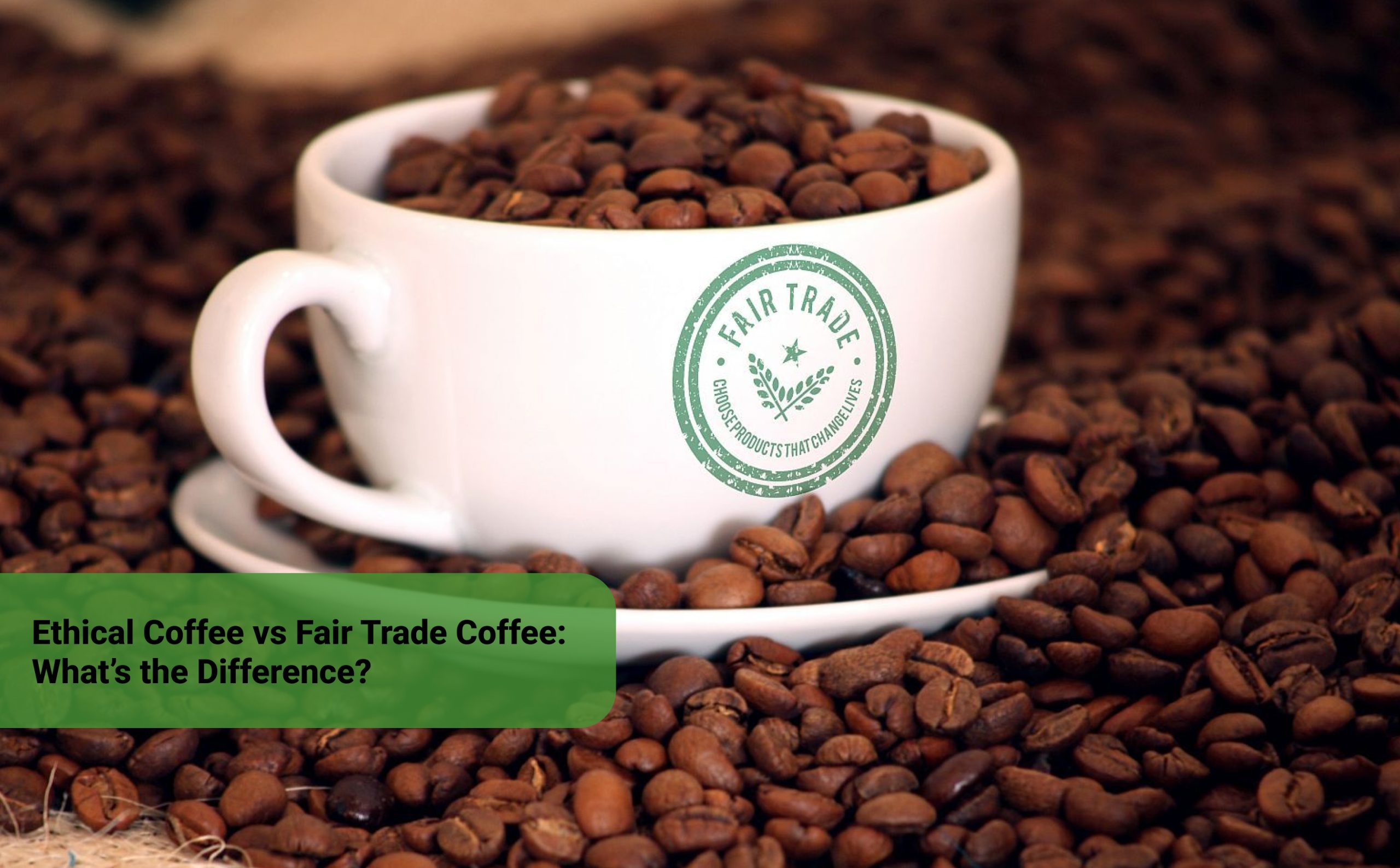 Ethical Coffee vs Fair Trade Coffee What’s the Difference