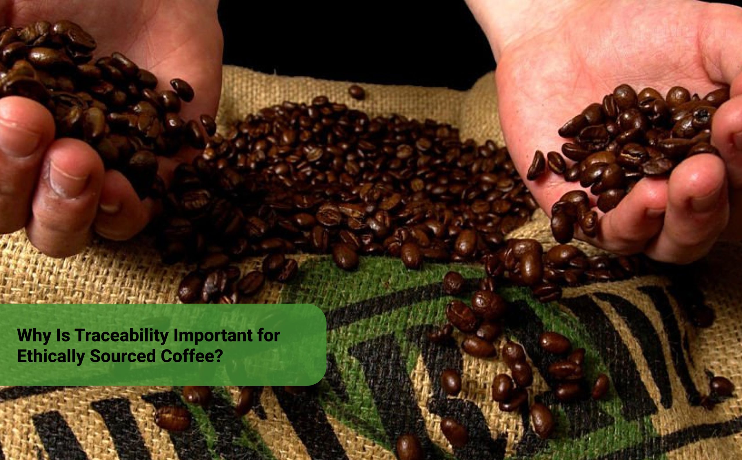 Traceable Coffee