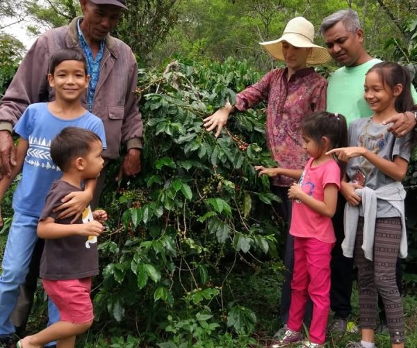 greenlot_coffee_1738066248_3555479847416062598_71699588141
