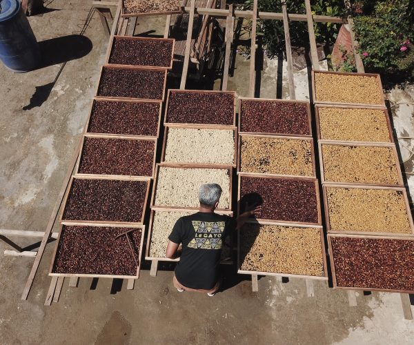 greenlot_coffee_1738066248_3555479847424322231_71699588141