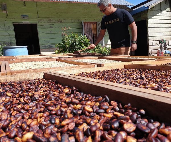 greenlot_coffee_1738066248_3555479847424408037_71699588141