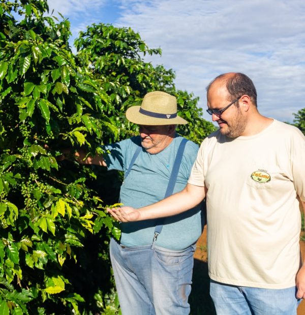 greenlot_coffee_1744301513_3607785030724302098